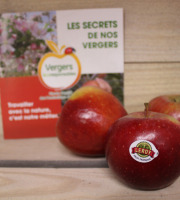 Le Châtaignier - Pommes Choupette Bio - 1 Kg