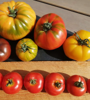 Micro-Ferme de Carcouet - Tomates Bio - 2 kg