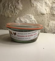 Des Poules et des Vignes à Bourgueil - Percussion De Lentilles Vertes