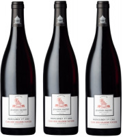 Domaine Jeannin-Naltet - Mercurey Premier Cru Clos Des Grands Voyens 2020 - 3 bouteilles