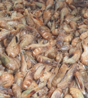 Saveurs Océanes IO - Crevettes grises cuites - 400g