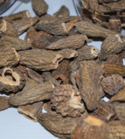 Trapon Champignons - Morilles séchées 100 g