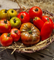 Les Jardins de l'Osme - Mélange de tomates anciennes bio - 3kg