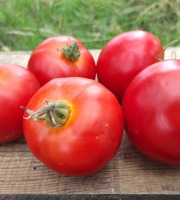Les Champs Paradis - tomate ronde 1kg