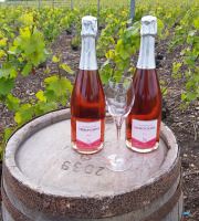 Champagne Deneufchatel - Champagne Deneufchatel Brut Rosé 2 X 75 Cl