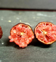 Le Jardin des Antipodes - Citron Caviar Aux Perles Rouge 500g