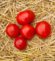 La Ferme de Goas Per - Tomate ancienne de Monthléry Bio - 500g