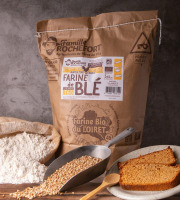 Famille Rochefort - Farine de blé bio T65 (blanche) 5 kg x2
