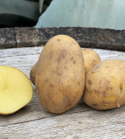 La Boite à Herbes - Pomme de terre primeur  Anaïs Bio - 1kg