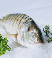 Côté Fish - Mon poisson direct pêcheurs - Marbrés 500g