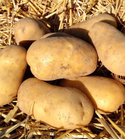 Les Jardins d'Abylone - BIO - Pommes de terre Blanche bio