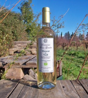 Domaine Pons Gralet - Vin Blanc - AOP Muscat de Rivesaltes Bio
