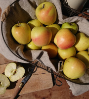 Le Verger de Crigne - Pommes Golden Bio (moyen Calibre) - 10kg