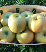 EARL Fruits du Maumont - Toutifruits - Pomme Chantecler HVE - 5kg