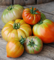 La Boite à Herbes - Tomate Ancienne Bio - 1kg