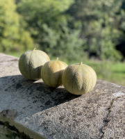 Les Asperges et Framboises du Soissonnais - Melon