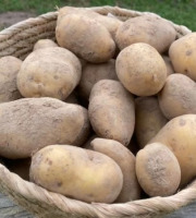 La Ferme du Bief - Pommes de terre Bintje Bio 1kg (petit calibre)