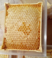 Miel et Pollen - Miel en section - Miel en rayon