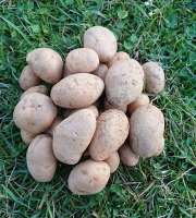 La Ferme Boréale - Pomme De Terre Spunta Calibre 35-55 - 3kg