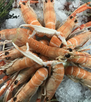 Saveurs Océanes IO - Langoustines cuites – 1kg
