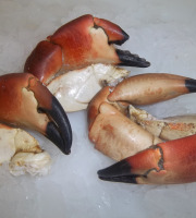Saveurs Océanes IO - Pinces de tourteaux cuites – 1kg