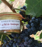 Des Poules et des Vignes à Bourgueil - Le Pot Du Vendangeur