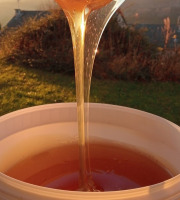 La Truite du Mézenc - Miel de Chataignier - 5kg