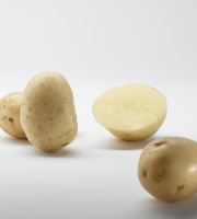 Maison Bayard - Pommes de terre Camelia - 12.5kg