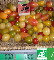 Les Jardins de Karine - Tomates cerises en mélange - 1kg