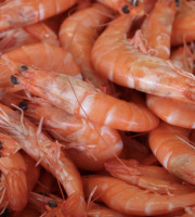 La Paysanne des Mers - Crevettes cuites bio - 1kg