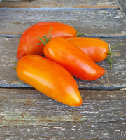La Ferme de Milly - Anjou - Tomates andines cornues BIO - 1kg