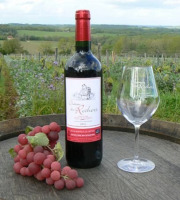 Château des Rochers - Vin rouge AOC Castillon-Côtes de Bordeaux 2016