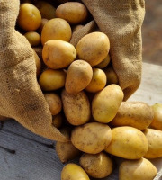 Les Jardins de l'Osme - Pommes de terre jaune bio - 1kg