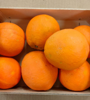 Coopérative Univert - Orange Corses Bio équitable - 2,7kg