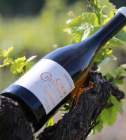 Domaine Daridan - Vin AOC Cour Cheverny Blanc 2020 "L'Inspiration"