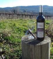 Domaine Les Conques Soulière - Agarrus Vin Rouge élevé en Fût de Chêne IGP Méditerranée 6x75cl