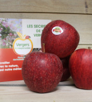 Le Châtaignier - Pommes Gala - Colis 14kg