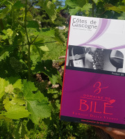 Domaine de Bilé - Fontaine à Vin BIB Rouge Non Boisé IGP Cotes de Gascogne 5 Litres