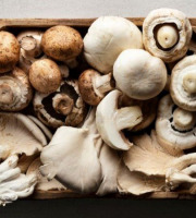 La Carrière du Bienheureux - Coffret champignons Pleurote et Shiitaké - 2x1kg