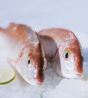 Côté Fish - Mon poisson direct pêcheurs - Pageots 500g