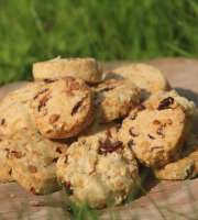 Ferme Dumesnil - Cookies Cranberry