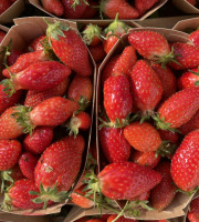 Le Potager de Sainte-Hélène - Barquette de fraises bio Ciflorette