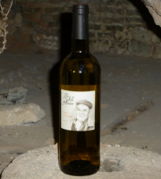 Domaine Folle Avoine - Vin Blanc Bio - Cuvée ARMAND 2021 - Terret Blanc