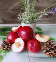 Les fruits de la garrigue - Nectarine blanche du Roussillon en conversion bio - 6kg