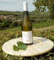 Sancerre Doudeau-Leger - Vent d'Ange - Vin de Pays du Val de Loire Blanc IGP 2020 - 1 Bouteille