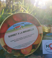 Les Glaces de la Promesse - Sorbet Mirabelle - 2,5L