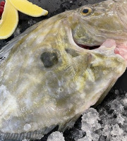 Notre poisson - Saint Pierre 500gr/1kg vidé avec tête en lot de 1kg