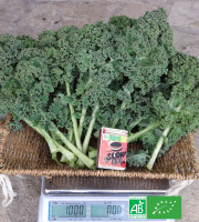 Les Jardins de Karine - Chou Kale - Grandes feuilles - 1kg