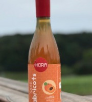 Kura de Bourgogne - Saké à l'abricot 37,5cl