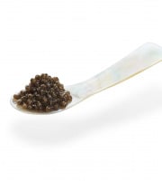 Caviar de Neuvic - Cuillère en nacre 9cm